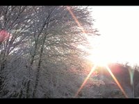 First Snowfall