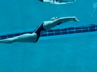 Backwards Dolphin