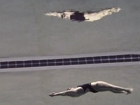Margaret Hoelzer Underwater Dolphin