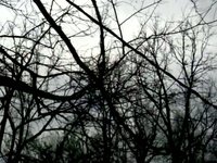 From Light to Dark