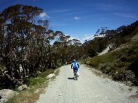 Thredbo DH Run
