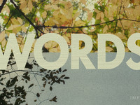 OYFMW Promo 