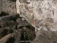 Videoyu Görüntüle