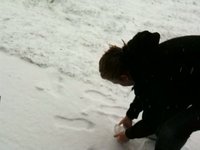 First snow