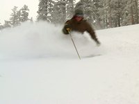 Powder