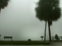 fog