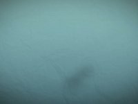 Milk & Cookies - Five Second Project