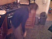 Murray - Kitchen (iPhone timelapse)