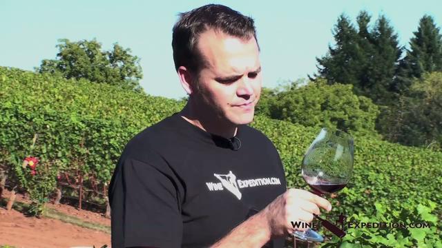 Wine Expedition to Oregon: Archery Summit part 2 Wine Expedition to Oregon: Archery Summit part 2