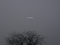 november