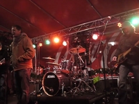 Racoon Live (Winter Boulevard Breda) Deel 1