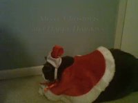 Merry Christmas and Happy Holidays!
