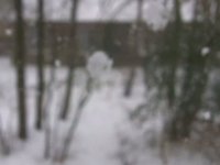 Sneeuw