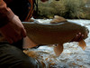 Fly Fishing Channel