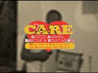 CARE Dog Show In Playas del Coco