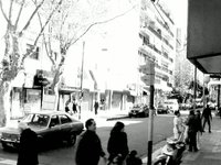 Ante La Ley