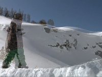 Lonnie Kauk - Standard Films
