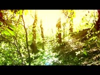 Akeru, Amanecer