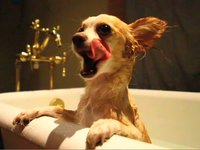 Bath Time doods