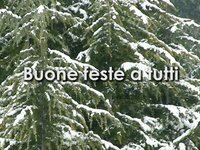 Auguri!
