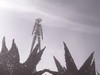 Burning Man