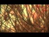 JAG35 User Videos