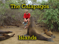 The Galapagos Islands