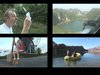 Iceland HD