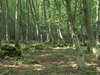 Planet Earth in HD