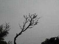 Sequência