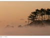 Panasonic GH1