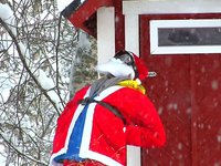 Byssa's tv-åre blogg #14 Byssa's tv-åre blogg #14