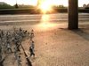 After Effects Showcase/Showoff