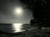 The Art Pack