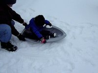 Sleddin'
