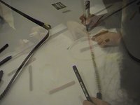 Spagna: tecniche video (creative e senza telecamera) per giovannissimi