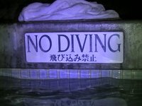 Hawaii Adventures Video Blog #11: "Nu Deevinge"