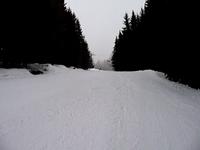 Flachau 2009