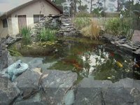 Koi pond - GoPro HD (rendered in Sony AVC.mp4 format)