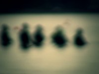 Inside Me