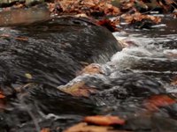 Danforth Brook Autumn Rain
