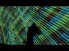 vvvv