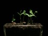 Slowmotion & Timelapse Theater