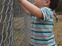 Spencer and the Fence