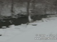 December 27, 2009 - Snow storm in Champaign, IL