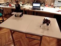 Jeffrey the Quadruped / Edge sensing tests