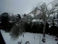 Ice-Melt