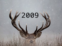 2009 2009