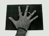 Painting & Sculpture