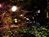 Timelapse